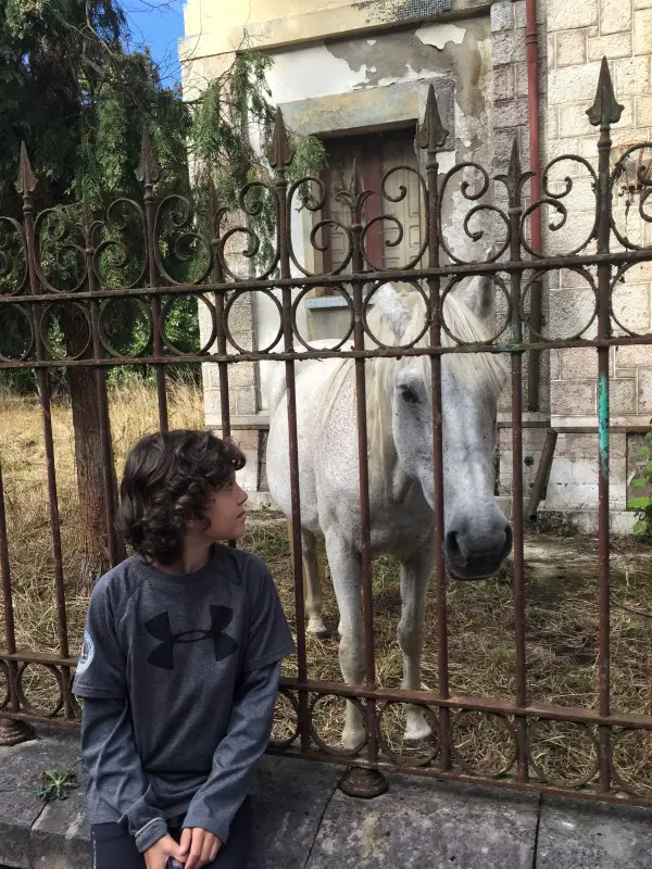Horse roaming around at an abandoned mansion in Asturia
